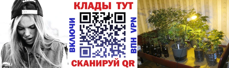 Купить наркотик аптеки Ногинск Гашиш  МАРИХУАНА  А ПВП  Мефедрон 
