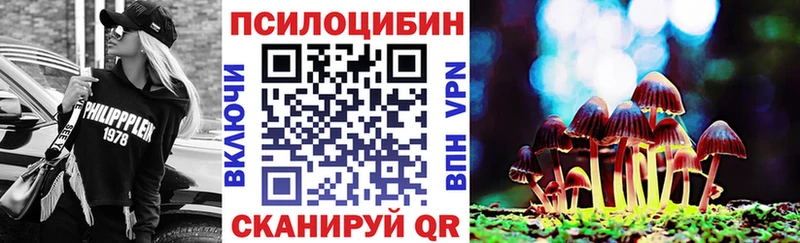 Галлюциногенные грибы Psilocybe  купить наркотики сайты  Ногинск 